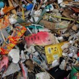 Meet your Posher, Gerard